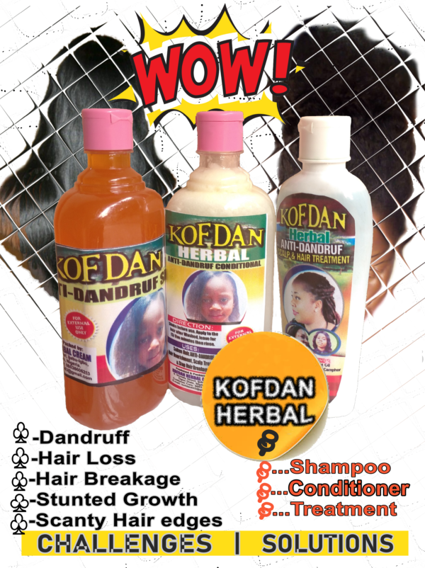 Kofdan Herbal Hairfood(set) - Image 2